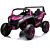 Racing UTV buggy Pink edition 