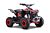 Elektrisk mini ATV for barn 1000W Renegade