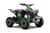 Elektrisk mini ATV for barn 1000W Renegade
