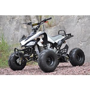 Outback 110cc ATV med revers