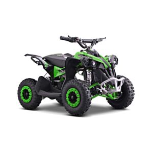 Elektrisk mini ATV for barn 1000W Renegade